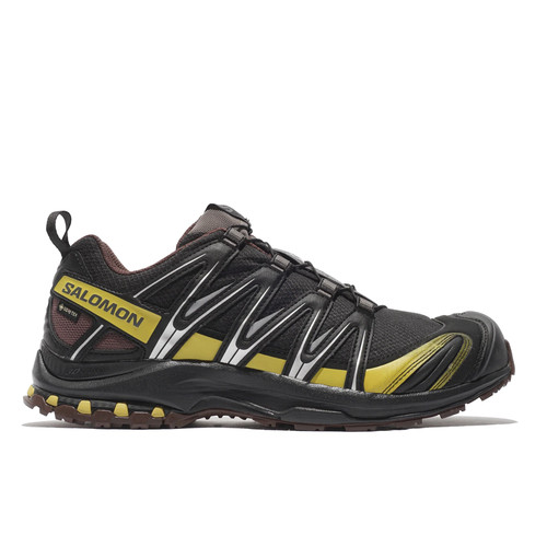 Salomon pro gtx - xa, 3d
